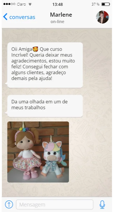 Marlene agradece pelo curso e compartilha uma foto de seu trabalho em feltro